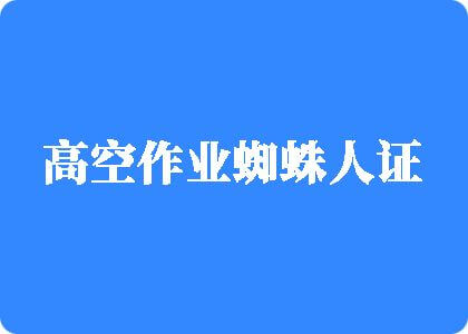 女生被操逼的网站高空作业蜘蛛人证